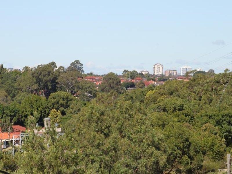 21 Richard Avenue, Earlwood NSW 2206