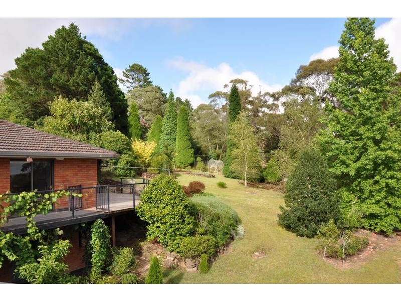 115 Mount Irvine Road, Mount Wilson NSW 2786