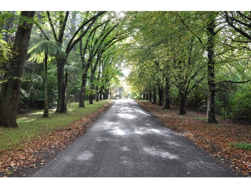115 Mount Irvine Road, Mount Wilson NSW 2786