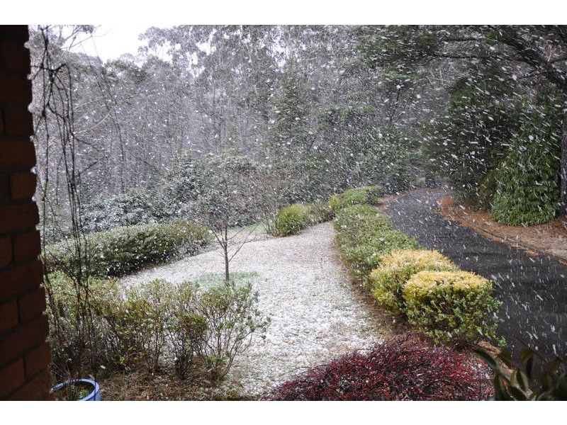 115 Mount Irvine Road, Mount Wilson NSW 2786