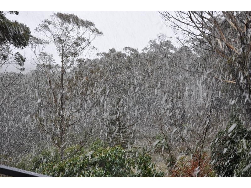 115 Mount Irvine Road, Mount Wilson NSW 2786