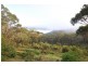 115 Mount Irvine Road, Mount Wilson NSW 2786