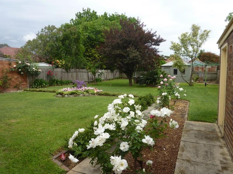 219 Wollongong Road, Arncliffe NSW 2205