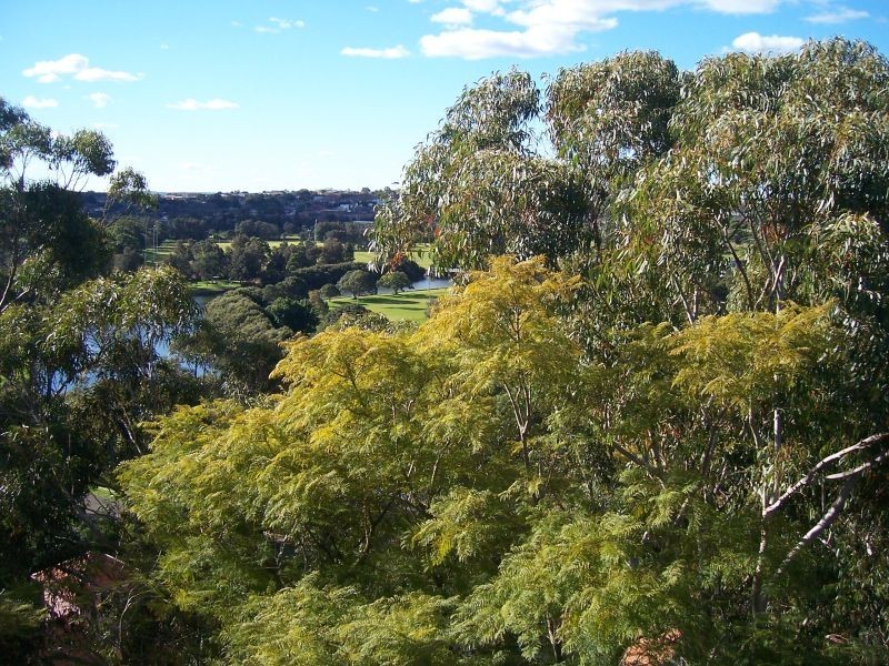9b Links H/83 Homer Street, Earlwood NSW 2206