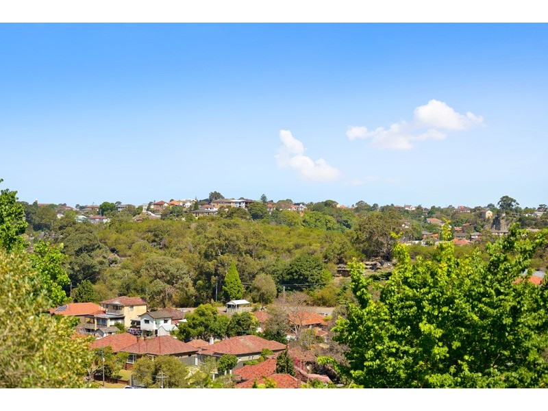 148 Homer Street, Earlwood NSW 2206