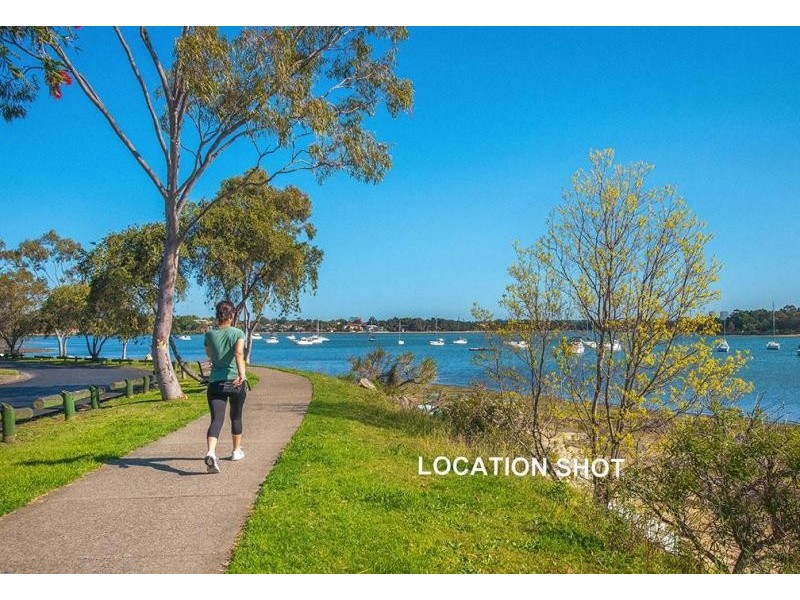 17 Raynor Avenue, Abbotsford NSW 2046