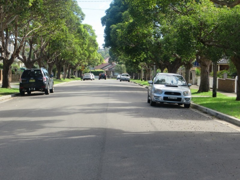 24a Ryrie Road, Earlwood NSW 2206