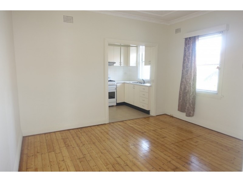 17 Willunga Avenue, Earlwood NSW 2206