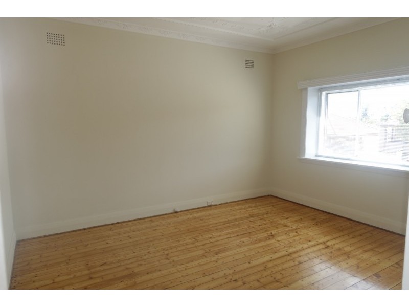 17 Willunga Avenue, Earlwood NSW 2206