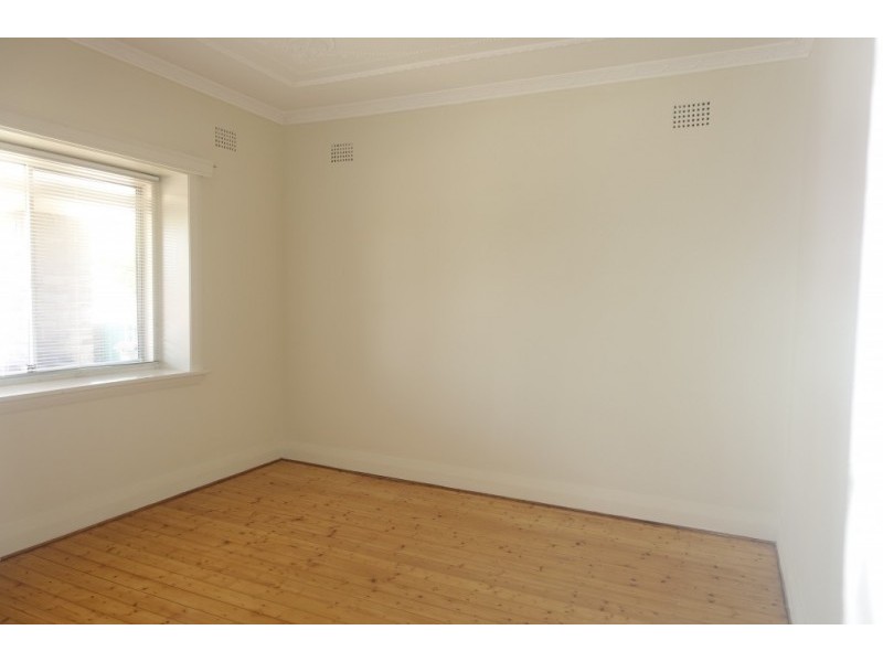 17 Willunga Avenue, Earlwood NSW 2206