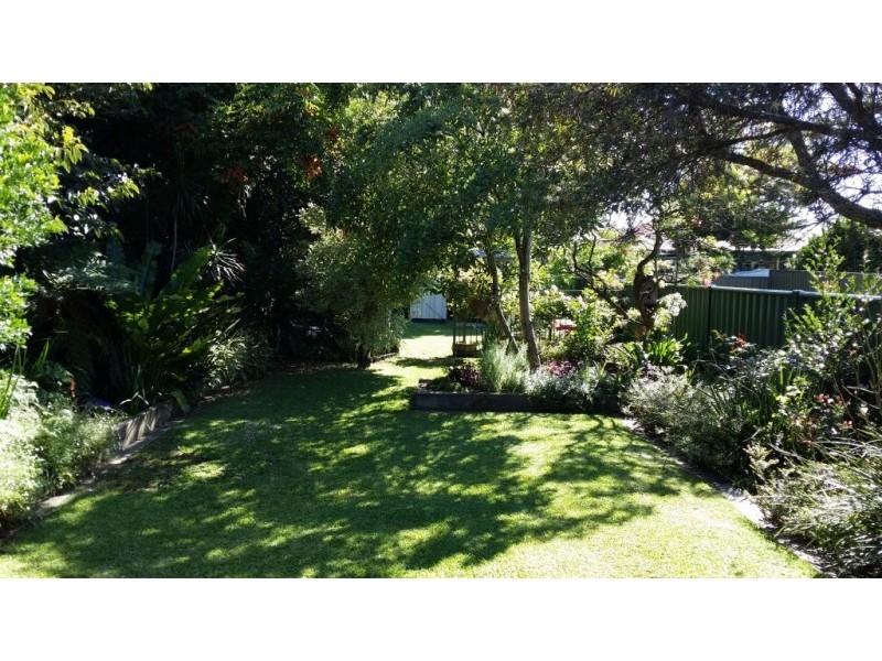 56 Bexley Road, Campsie NSW 2194