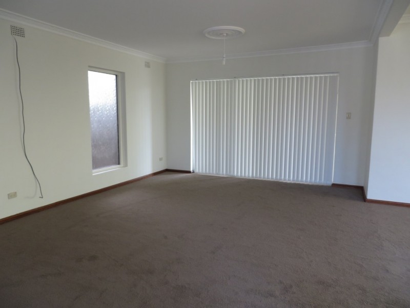 159A Wardell Road, Earlwood NSW 2206