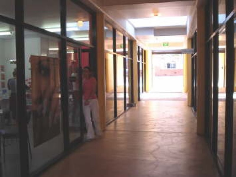 357A Homer Street, Earlwood NSW 2206