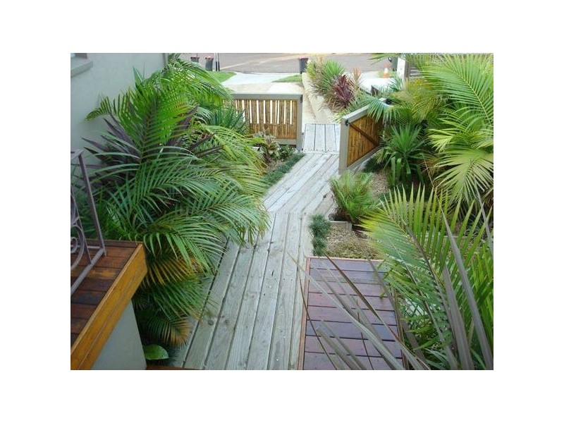 16 Cripps Avenue, Kingsgrove NSW 2208