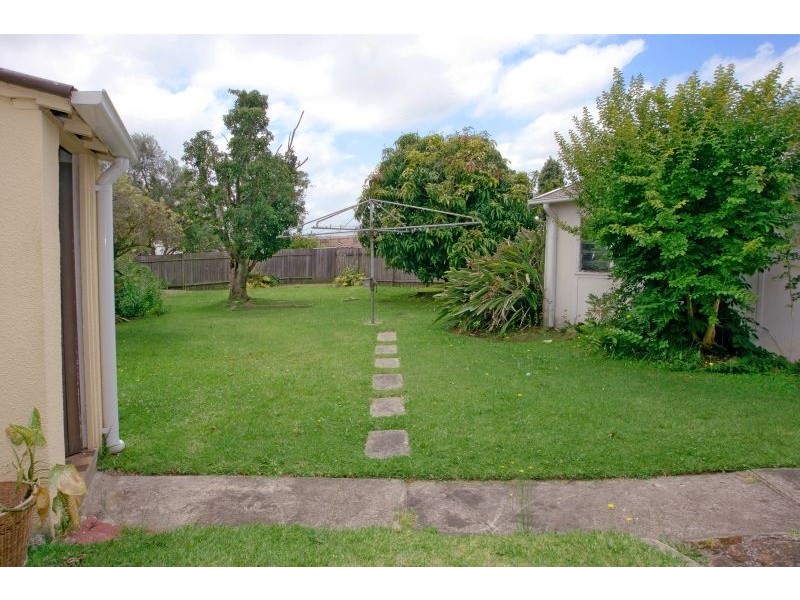 61 Minnamorra Avenue, Earlwood NSW 2206