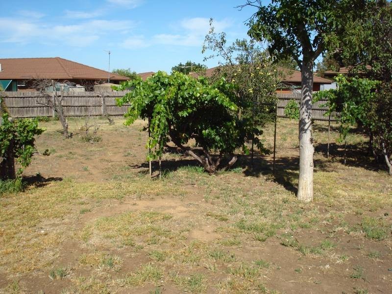 55 Inkerman Street, Dunolly VIC 3472