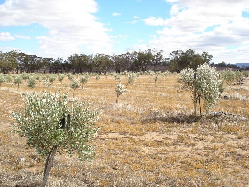 108 Cornthaites Road, Dunluce VIC 3472