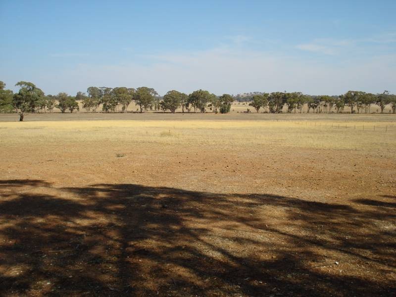 495 PONDEROSA ROAD, Bealiba VIC 3475