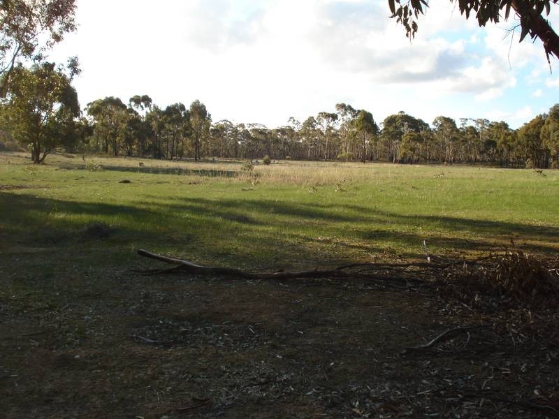 141 BEALIBA MOLIGUL ROAD, Bealiba VIC 3475