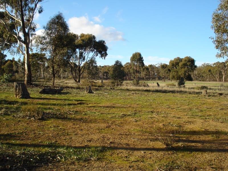 141 BEALIBA MOLIGUL ROAD, Bealiba VIC 3475