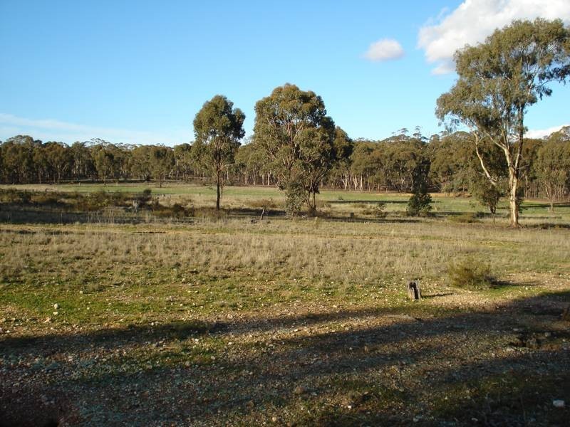 141 BEALIBA MOLIGUL ROAD, Bealiba VIC 3475