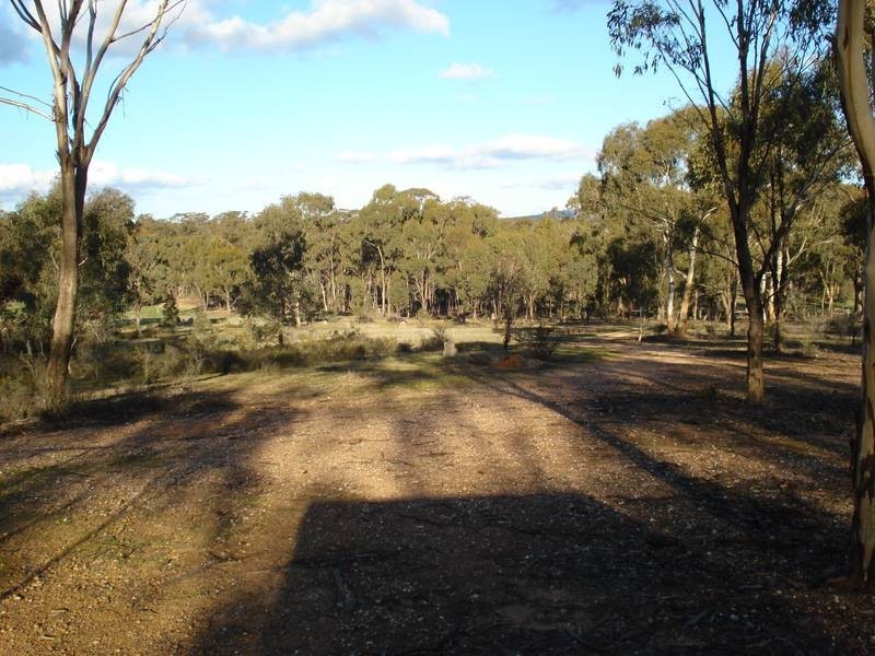 141 BEALIBA MOLIGUL ROAD, Bealiba VIC 3475