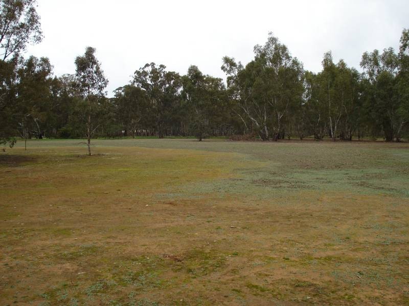 29 BURNT CREEK ROAD, Dunolly VIC 3472