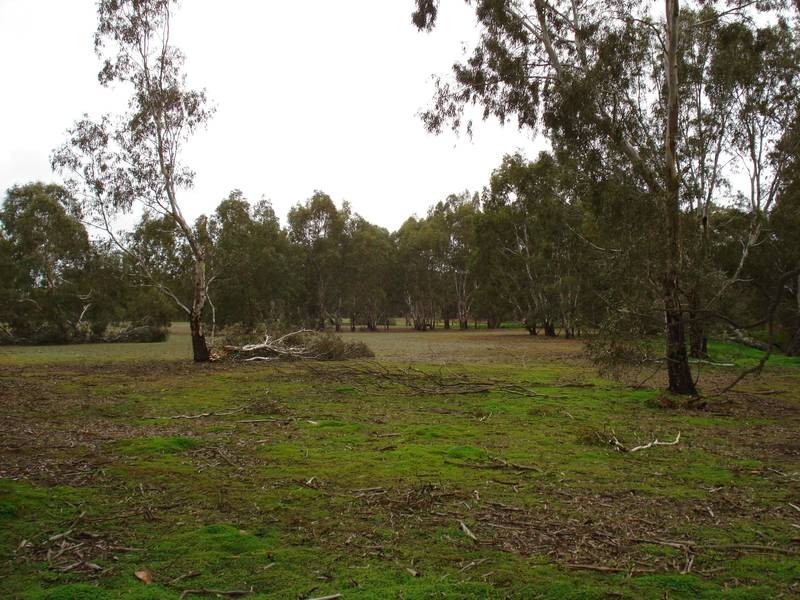 29 BURNT CREEK ROAD, Dunolly VIC 3472