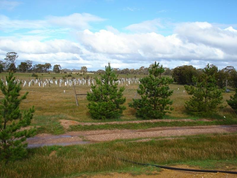 21 GLOUREY ROAD, Dunolly VIC 3472