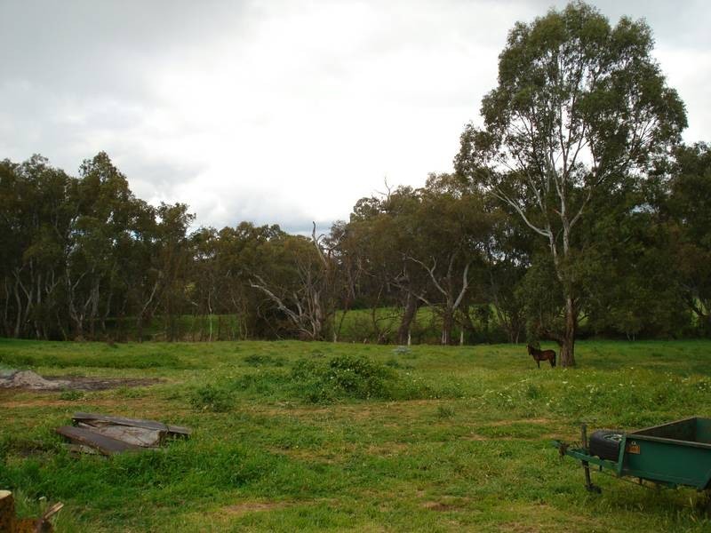 46 SIMSON STREET, Maryborough VIC 3465