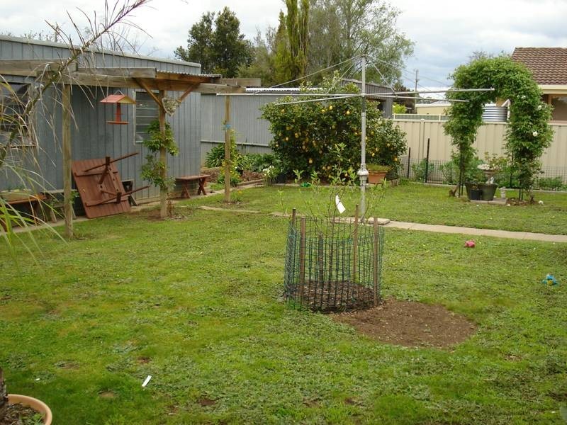 96 PARK ROAD, Maryborough VIC 3465