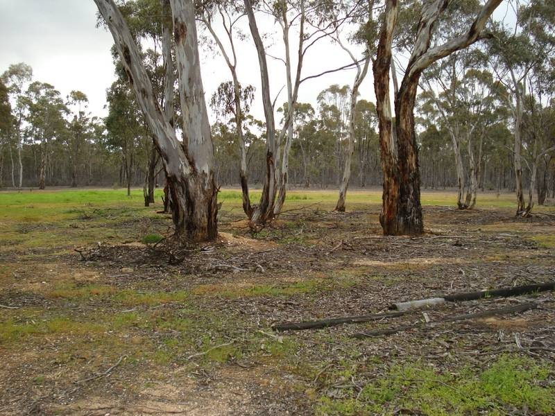 127 WATTLE TREK, Maryborough VIC 3465