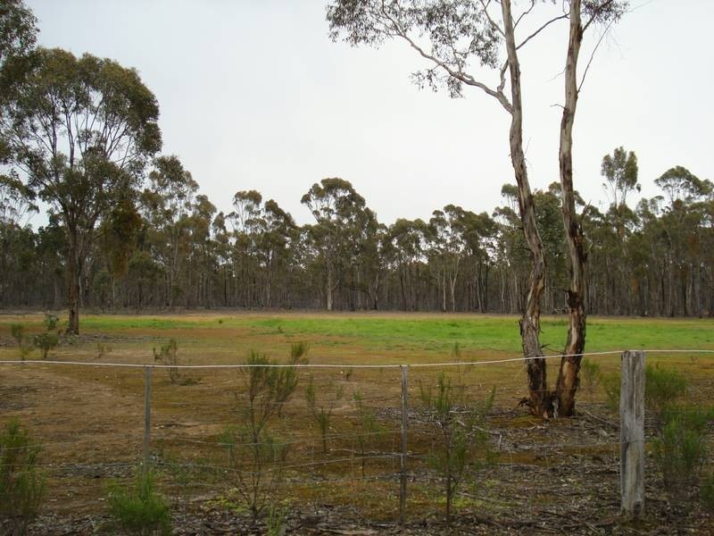 127 WATTLE TREK, Maryborough VIC 3465