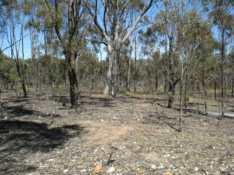 1388 MARYBOROUGH-DUNOLLY ROAD, Bet Bet VIC 3472