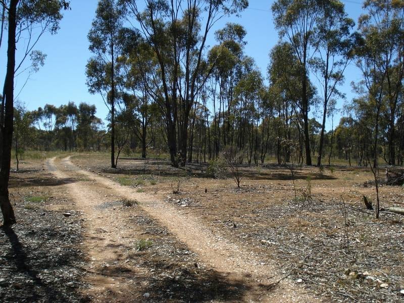 1388 MARYBOROUGH-DUNOLLY ROAD, Bet Bet VIC 3472