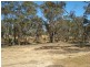 - MOUNT ROAD, Bealiba VIC 3475