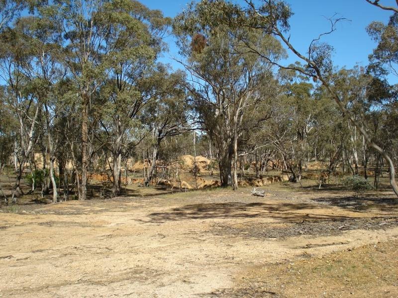 - MOUNT ROAD, Bealiba VIC 3475