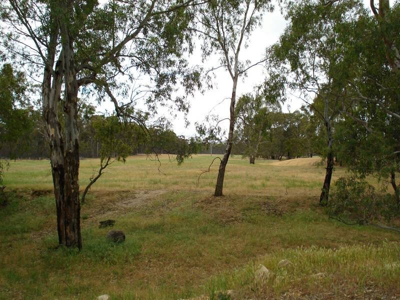 99 Waterloo Flat Road, Maryborough VIC 3465