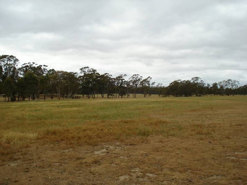 99 Waterloo Flat Road, Maryborough VIC 3465