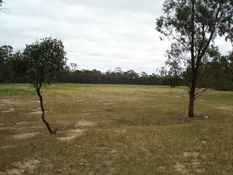 99 Waterloo Flat Road, Maryborough VIC 3465