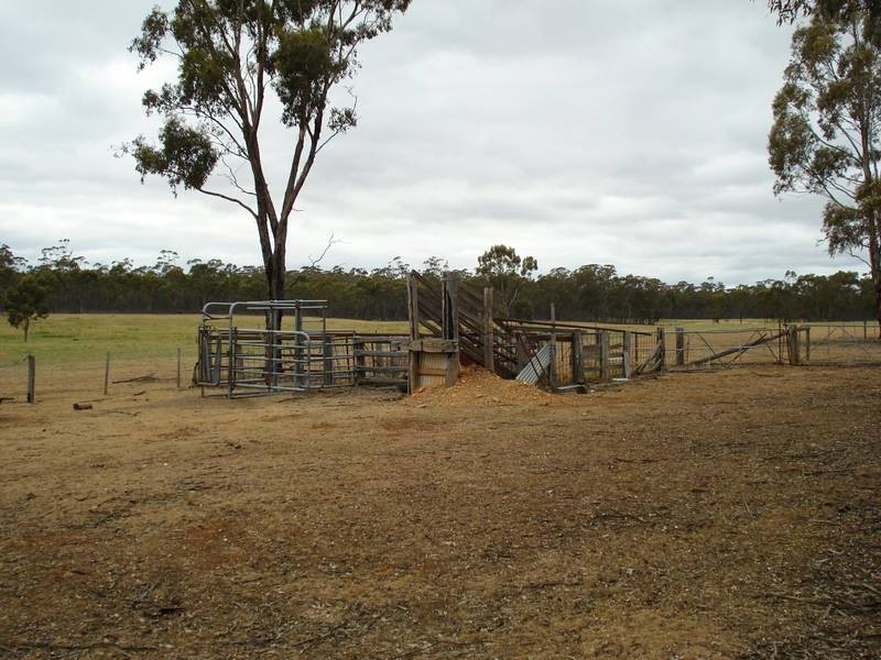 99 Waterloo Flat Road, Maryborough VIC 3465