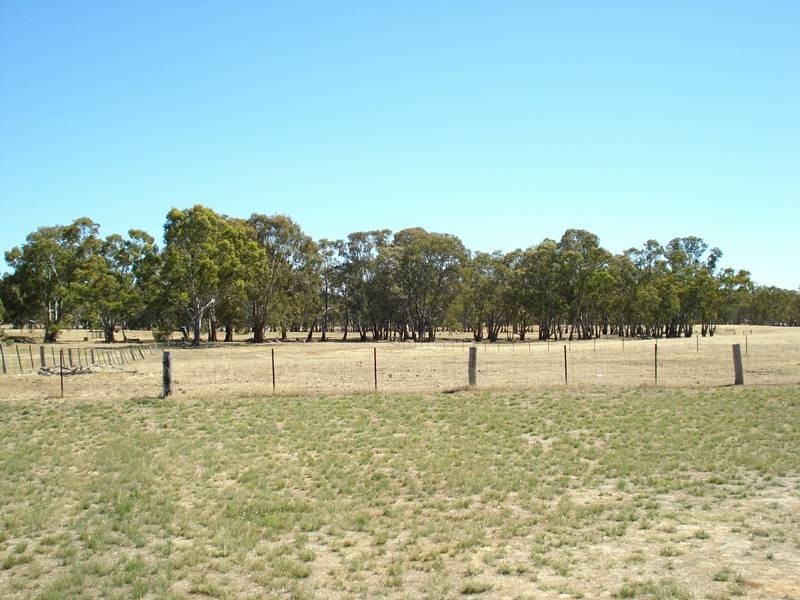 227 BET BET BETLEY ROAD, Betley VIC 3472