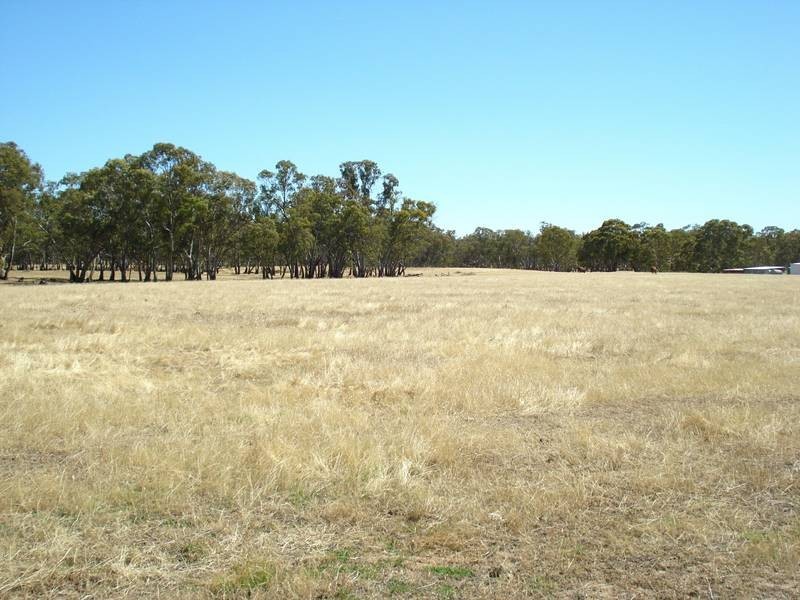 227 BET BET BETLEY ROAD, Betley VIC 3472