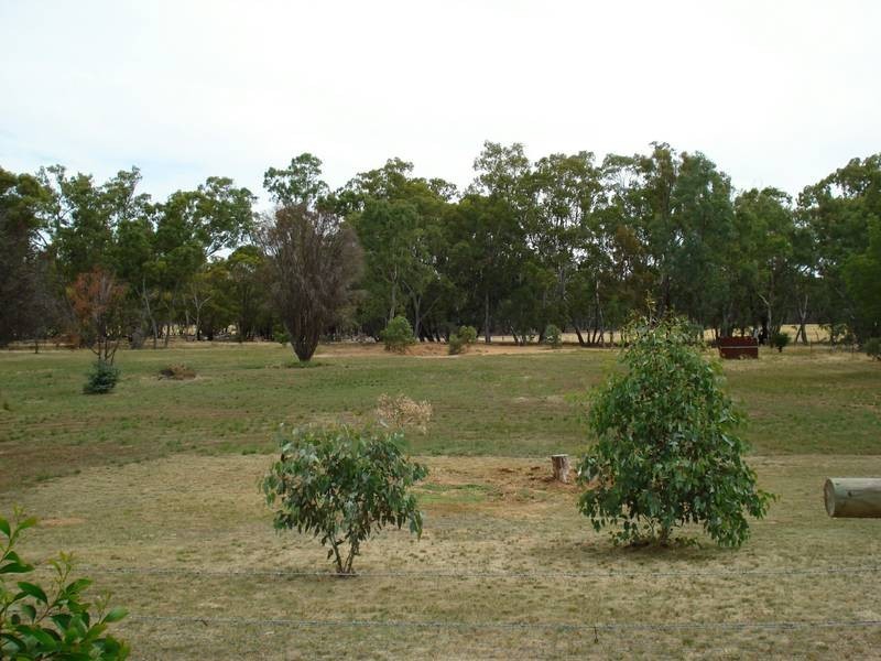 445 DUNOLLY MOLIAGUL ROAD, Dunolly VIC 3472
