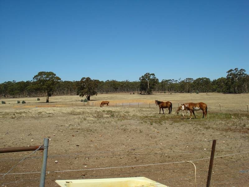 86 LEES ROAD, Bet Bet VIC 3472