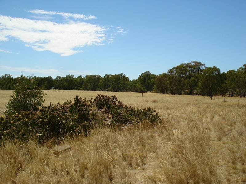 23 WOMBAT DRIVE, Dunolly VIC 3472