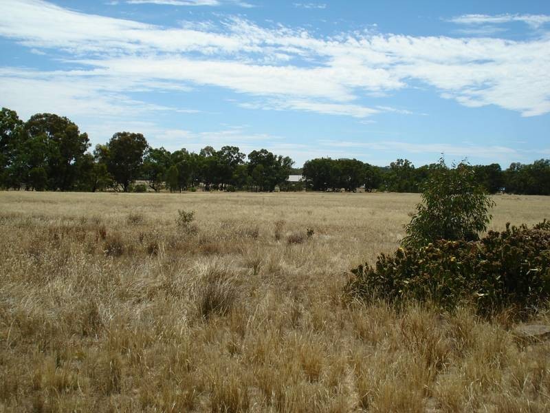 23 WOMBAT DRIVE, Dunolly VIC 3472