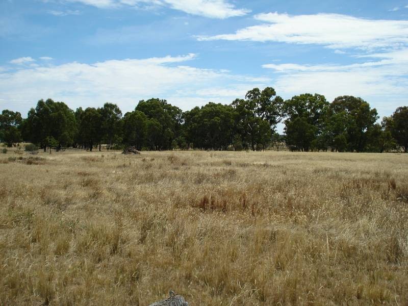 23 WOMBAT DRIVE, Dunolly VIC 3472