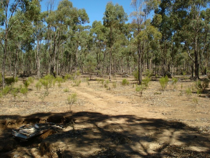 90 MOLIAGUL DRIVE, Moliagul VIC 3472