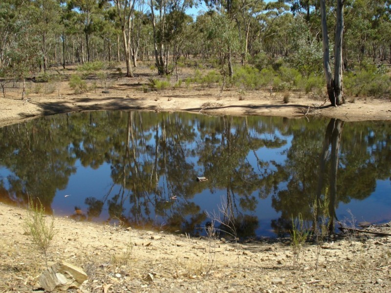 90 MOLIAGUL DRIVE, Moliagul VIC 3472